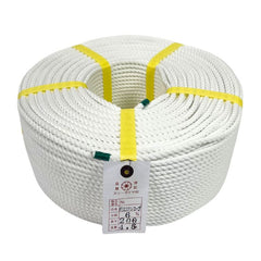 Collection image for: ポリエステルロープ